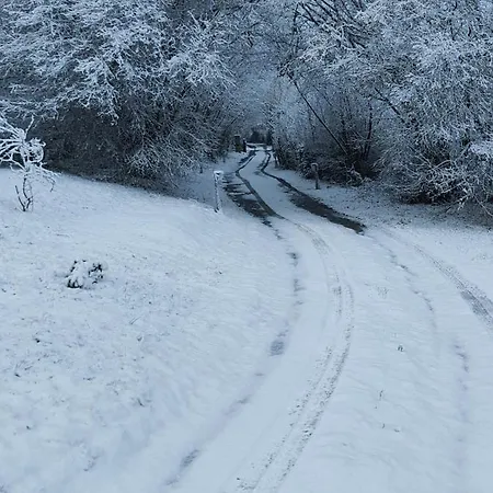 Les Delices De La Vie * Livarot-Pays-d'Auge