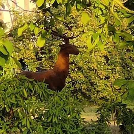 Hébergement de vacances Les Délices De La Vie Livarot-Pays-d'Auge