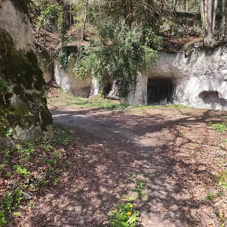 Les Délices De La Vie Livarot-Pays-d'Auge