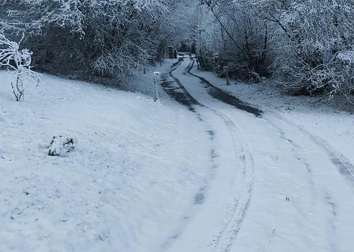 Les Délices De La Vie * Livarot-Pays-d'Auge