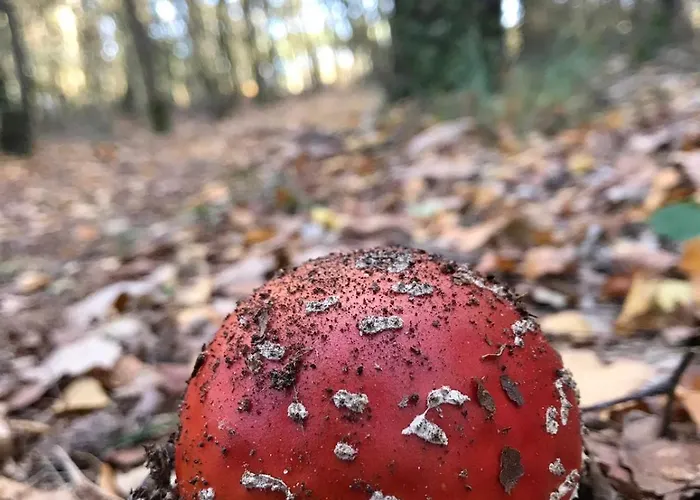 Сasa de vacaciones Les Délices De La Vie *