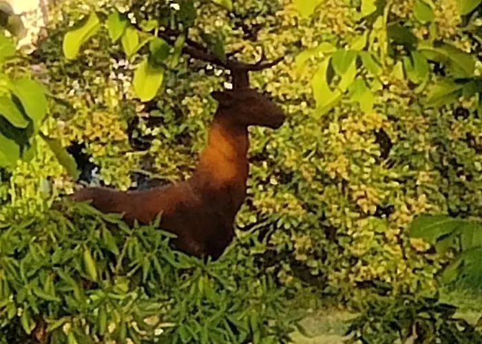 Сasa de vacaciones Les Délices De La Vie Livarot-Pays-d'Auge