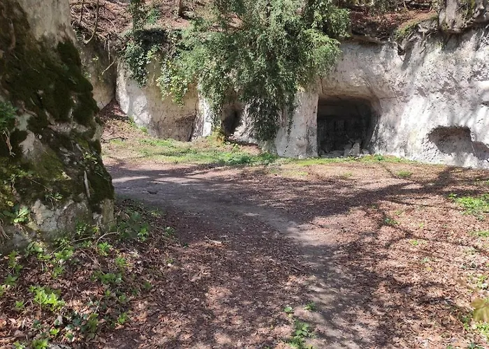 Les Délices De La Vie Livarot-Pays-d'Auge